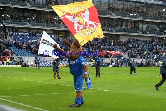 1.BL - 19/20 - TSG 1899 Hoffenheim vs. Bayer 04 Leverkusen (© Kraichgausport / Loerz)