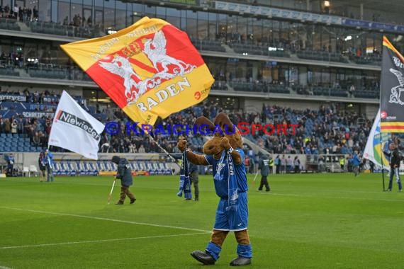 1.BL - 19/20 - TSG 1899 Hoffenheim vs. Bayer 04 Leverkusen (© Kraichgausport / Loerz)