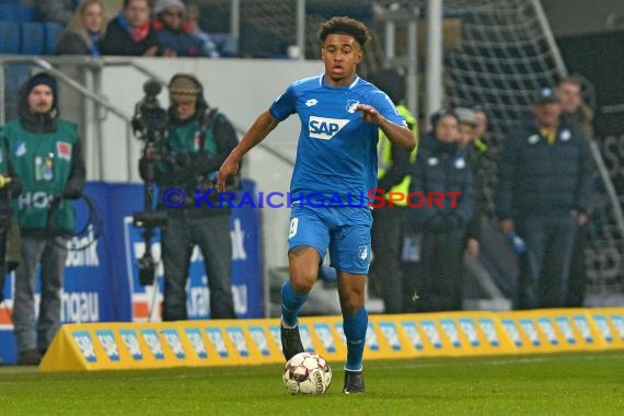 1. BL - 18/19 - TSG 1899 Hoffenheim vs. Fortuna Duesseldorf (© Kraichgausport / Loerz)