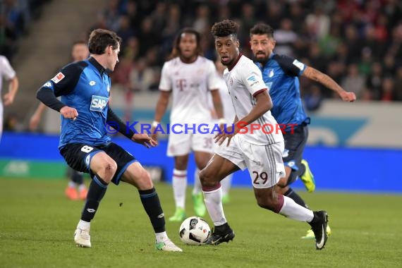 1. BL - 16/17 - TSG 1899 Hoffenheim vs. 1. FC Bayern Muenchen (© Kraichgausport / Loerz)