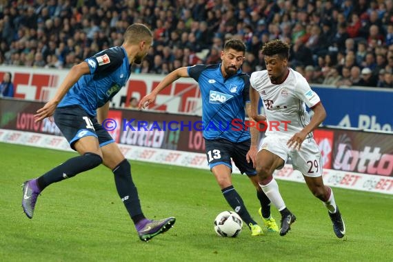 1. BL - 16/17 - TSG 1899 Hoffenheim vs. 1. FC Bayern Muenchen (© Kraichgausport / Loerz)