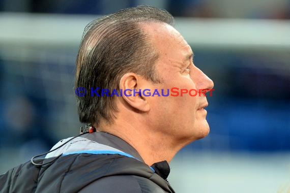 1.BL - 15/16 - TSG 1899 Hoffenheim vs. SV Darmstadt 98 (© Kraichgausport / Loerz)