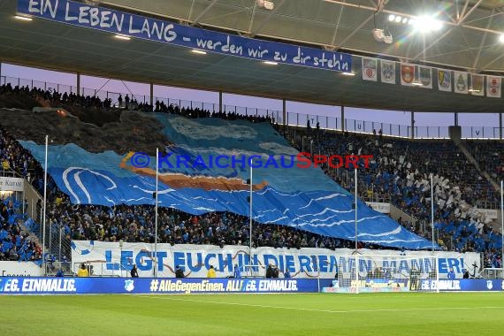 1.BL - 15/16 - TSG 1899 Hoffenheim vs. SV Darmstadt 98 (© Kraichgausport / Loerz)