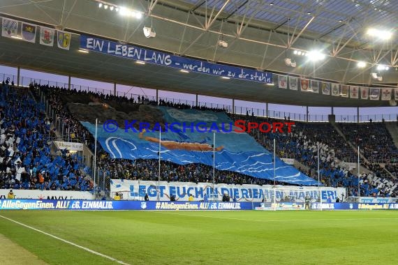 1.BL - 15/16 - TSG 1899 Hoffenheim vs. SV Darmstadt 98 (© Kraichgausport / Loerz)