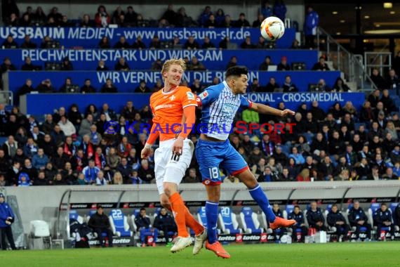 1.BL - 15/16 - TSG 1899 Hoffenheim vs. SV Darmstadt 98 (© Kraichgausport / Loerz)