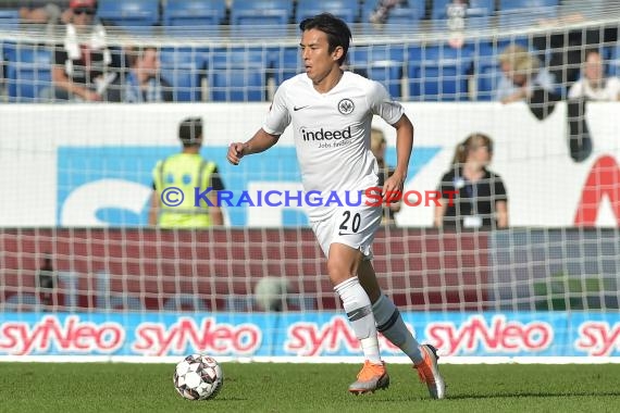 1. BL - 18/19 - TSG 1899 Hoffenheim vs. Eintracht Frankfurt (© Kraichgausport / Loerz)