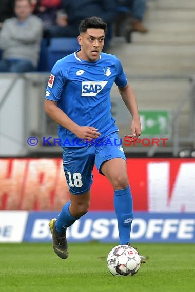 1. BL - 18/19 - TSG 1899 Hoffenheim vs. 1. FC Nuernberg (© Kraichgausport / Loerz)