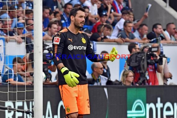 1.BL - 17/18 - TSG 1899 Hoffenheim vs. Bor. Dortmund (© Kraichgausport / Loerz)