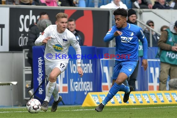 1. BL - 18/19 - TSG 1899 Hoffenheim vs. Hertha BSC Berlin (© Kraichgausport / Loerz)