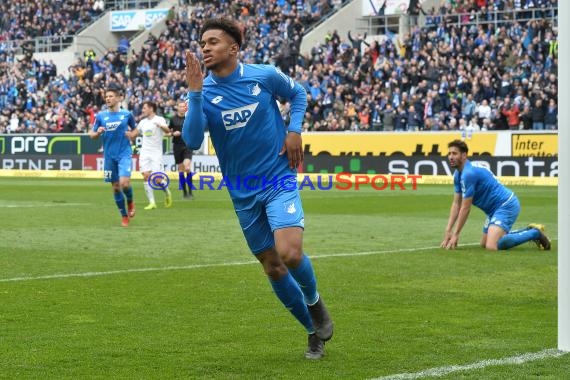 1. BL - 18/19 - TSG 1899 Hoffenheim vs. Hertha BSC Berlin (© Kraichgausport / Loerz)