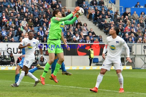 1. BL - 18/19 - TSG 1899 Hoffenheim vs. Hertha BSC Berlin (© Kraichgausport / Loerz)