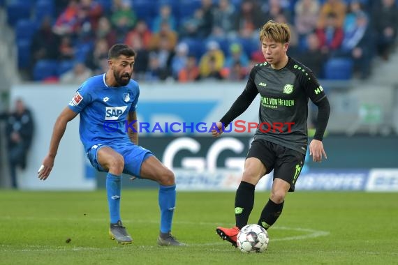 1. BL - 18/19 - TSG 1899 Hoffenheim vs. Hannover 96 (© Kraichgausport / Loerz)