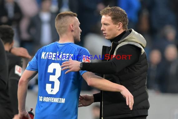 1. BL - 18/19 - TSG 1899 Hoffenheim vs. Hannover 96 (© Kraichgausport / Loerz)