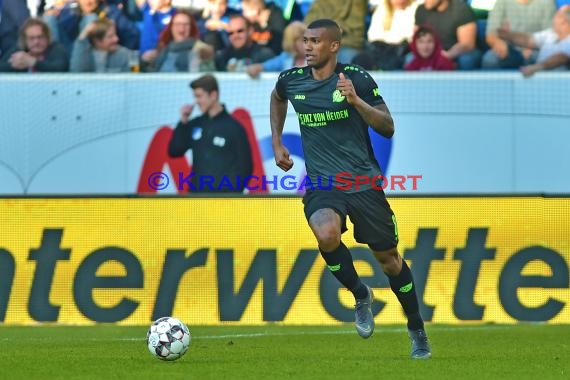 1. BL - 18/19 - TSG 1899 Hoffenheim vs. Hannover 96 (© Kraichgausport / Loerz)