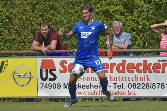 Testspiel - 19/20 - TSG 1899 Hoffenheim vs. Jahn Regensburg (© Kraichgausport / Loerz)