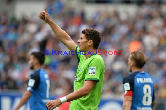 1. BL - 16/17 - TSG 1899 Hoffenheim vs. VfL Wolfsburg (© Kraichgausport / Loerz)