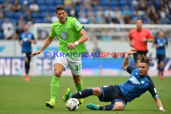1. BL - 16/17 - TSG 1899 Hoffenheim vs. VfL Wolfsburg (© Kraichgausport / Loerz)