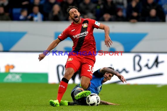 1.BL - 16/17 - TSG 1899 Hoffenheim vs. Bayer Leverkusen (© Kraichgausport / Loerz)