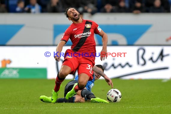 1.BL - 16/17 - TSG 1899 Hoffenheim vs. Bayer Leverkusen (© Kraichgausport / Loerz)