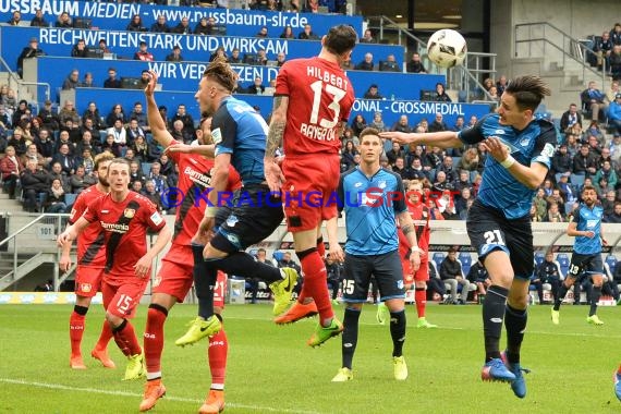 1.BL - 16/17 - TSG 1899 Hoffenheim vs. Bayer Leverkusen (© Kraichgausport / Loerz)