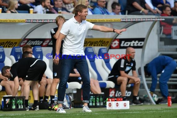 1. BL - 16/17 - TSG 1899 Hoffenheim vs. SV Werder Bremen (© Kraichgausport / Loerz)