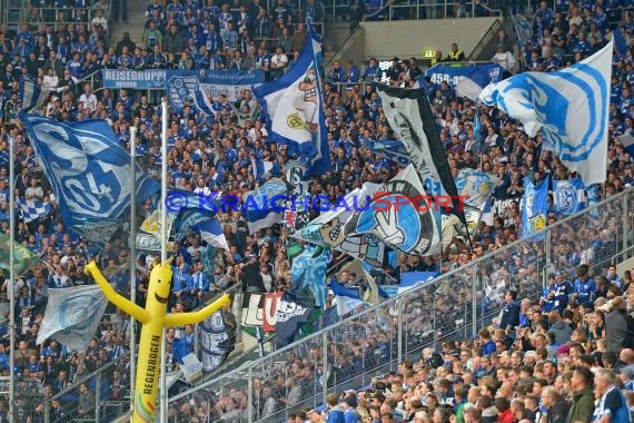 1.BL - 19/20 - TSG 1899 Hoffenheim vs. FC Schalke 04 (© Kraichgausport / Loerz)