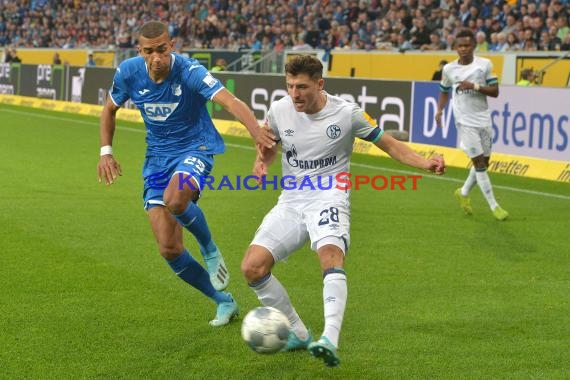 1.BL - 19/20 - TSG 1899 Hoffenheim vs. FC Schalke 04 (© Kraichgausport / Loerz)