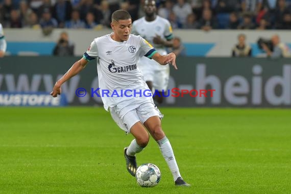 1.BL - 19/20 - TSG 1899 Hoffenheim vs. FC Schalke 04 (© Kraichgausport / Loerz)