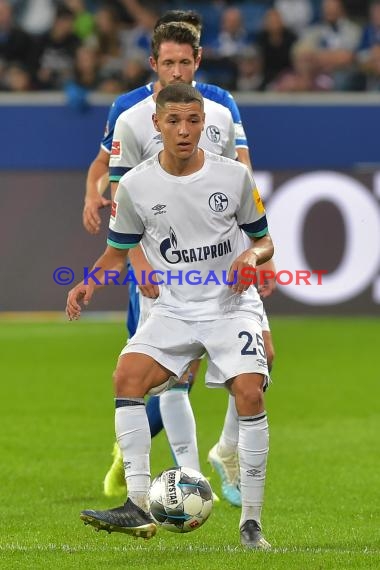 1.BL - 19/20 - TSG 1899 Hoffenheim vs. FC Schalke 04 (© Kraichgausport / Loerz)