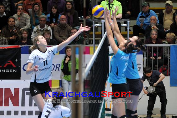 Envacom Volleys Sinsheim - Smart Allianz Stuttgart (© )