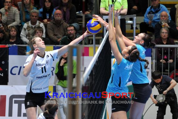 Envacom Volleys Sinsheim - Smart Allianz Stuttgart (© )
