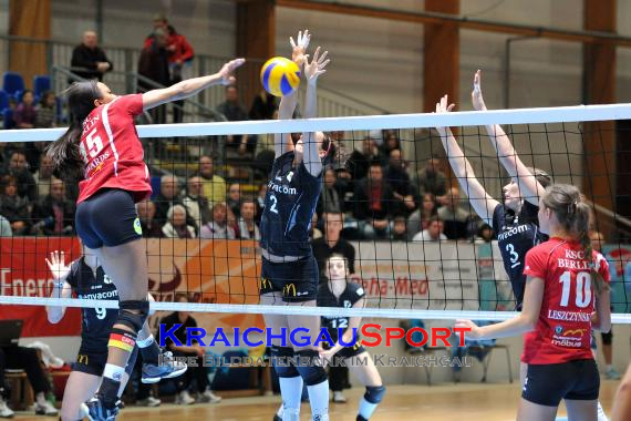 Envacom Volleys Sinsheim-KĂ¶penicker SC Berlin  (© 31)