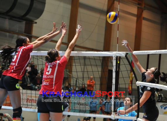 Envacom Volleys Sinsheim-KĂ¶penicker SC Berlin  (© 31)