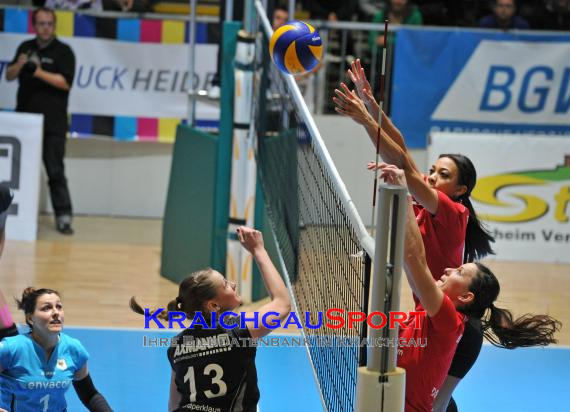 Envacom Volleys Sinsheim-KĂ¶penicker SC Berlin  (© 31)