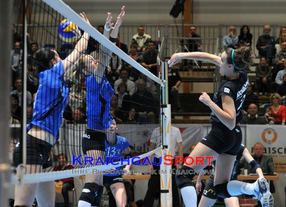 Envacom volleys sinsheim - Alemannia Aachen (© )