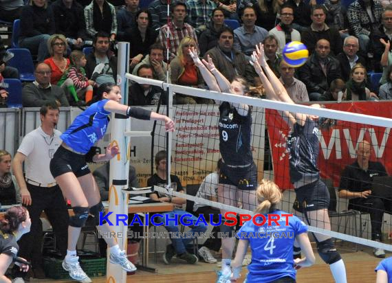Envacom volleys sinsheim - Alemannia Aachen (© )