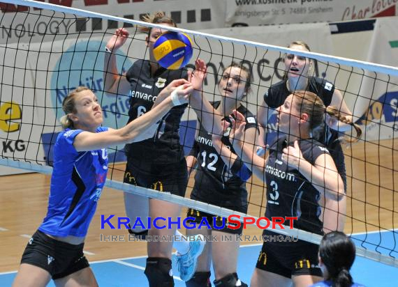 Envacom volleys sinsheim - Alemannia Aachen (© )