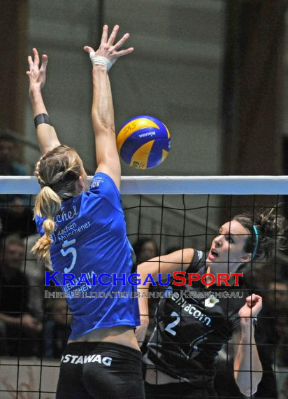 Envacom volleys sinsheim - Alemannia Aachen (© )