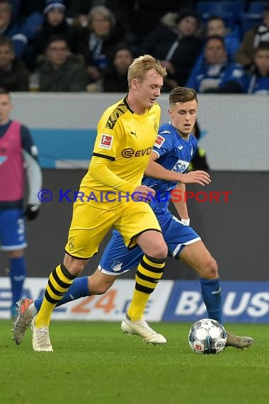 1.BL - 19/20 - TSG 1899 Hoffenheim vs. Bor. Dortmund (© Kraichgausport / Loerz)