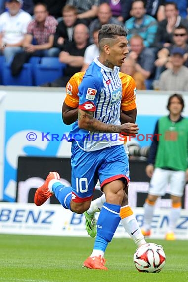 1.BL - 14/15 - TSG 1899 Hoffenheim vs. Hertha BSC Berlin (© Fotostand / Loerz)
