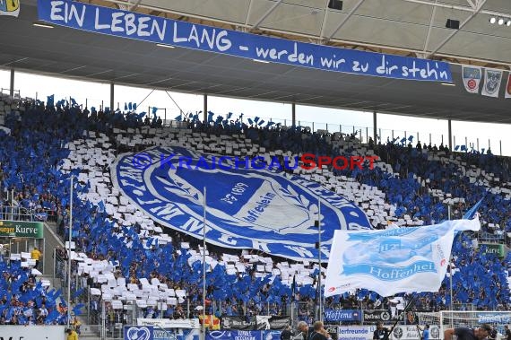 1.BL - 14/15 - TSG 1899 Hoffenheim vs. Hertha BSC Berlin (© Fotostand / Loerz)