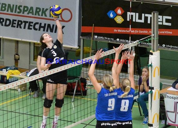 Volleyball Damen 3. Liga Süd SV Sinsheim gegen TV Schmiden 14.11.2015 (© Siegfried)