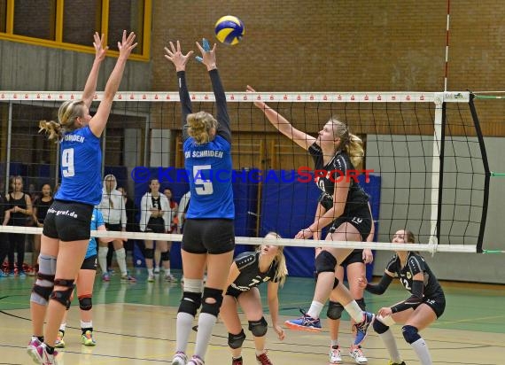 Volleyball Damen 3. Liga Süd SV Sinsheim gegen TV Schmiden 14.11.2015 (© Siegfried)