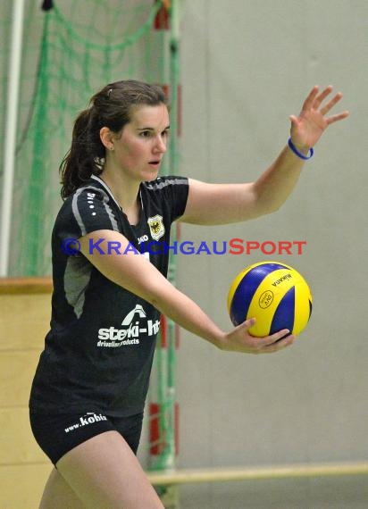 Volleyball Damen 3. Liga Süd SV Sinsheim gegen TV Schmiden 14.11.2015 (© Siegfried)