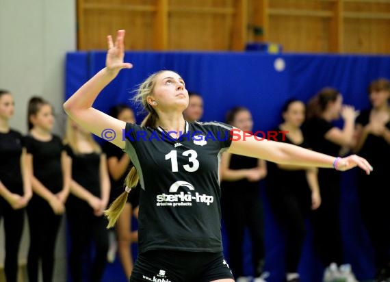 Volleyball Damen 3. Liga Süd SV Sinsheim gegen TV Schmiden 14.11.2015 (© Siegfried)