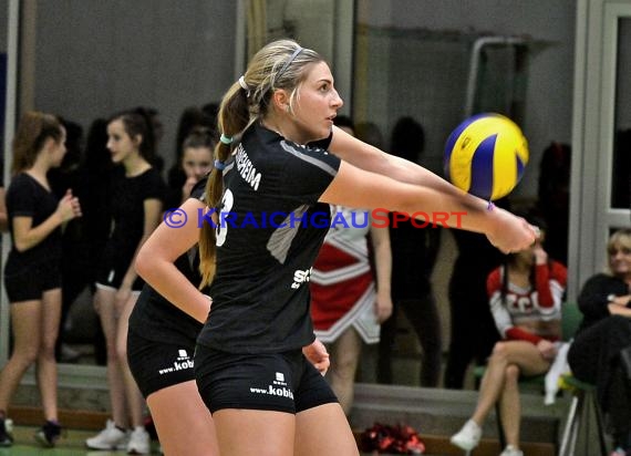 Volleyball Damen 3. Liga Süd SV Sinsheim gegen TV Schmiden 14.11.2015 (© Siegfried)