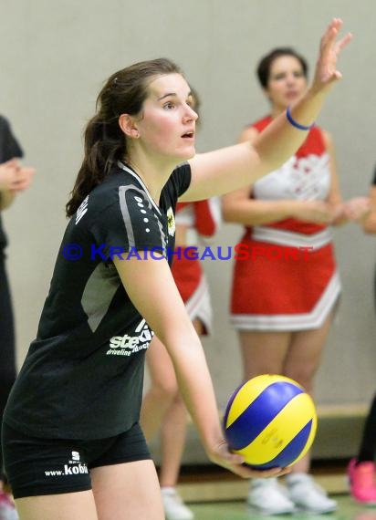 Volleyball Damen 3. Liga Süd SV Sinsheim gegen TV Schmiden 14.11.2015 (© Siegfried)