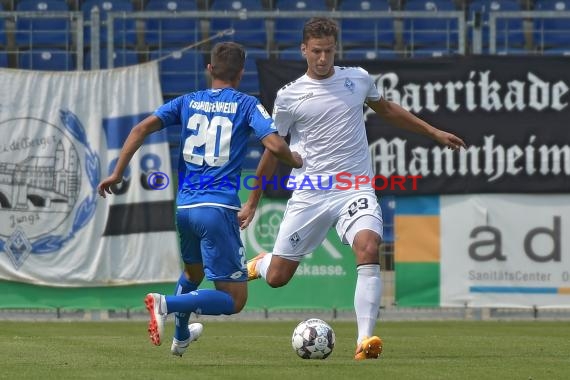 Regionalliga Südwest TSG 1899 Hoffeenheim II vs SV Waldhof Mannheim (© Siegfried Lörz)