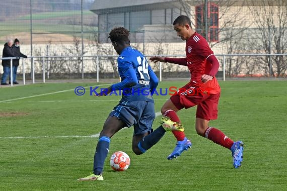 Bundeliga U17 TSG 1899 Hoffenheim vs Bayern München (© Siegfried Lörz)