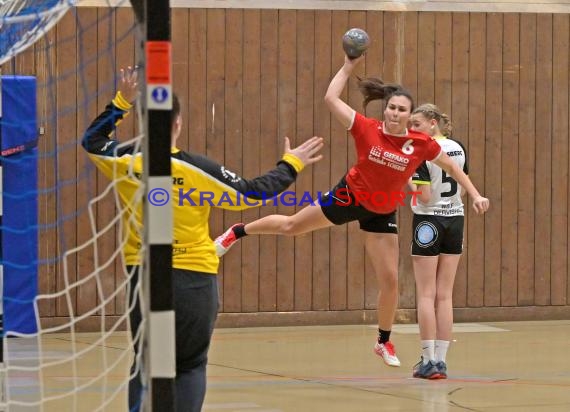 Heilbronn-Franken Handball Damen Bezirksliga TB Richen vs TSV Weinsberg (© Siegfried)